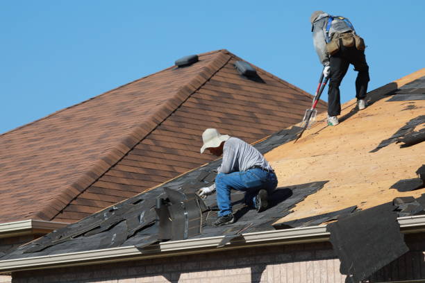 Best Roof Leak Repair  in Spring Lake, MI