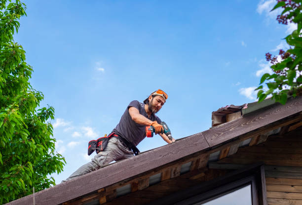 Best Steel Roofing  in Spring Lake, MI